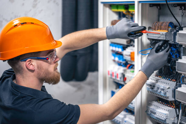 Best Electric Panel Repair  in Oconomowoc, WI